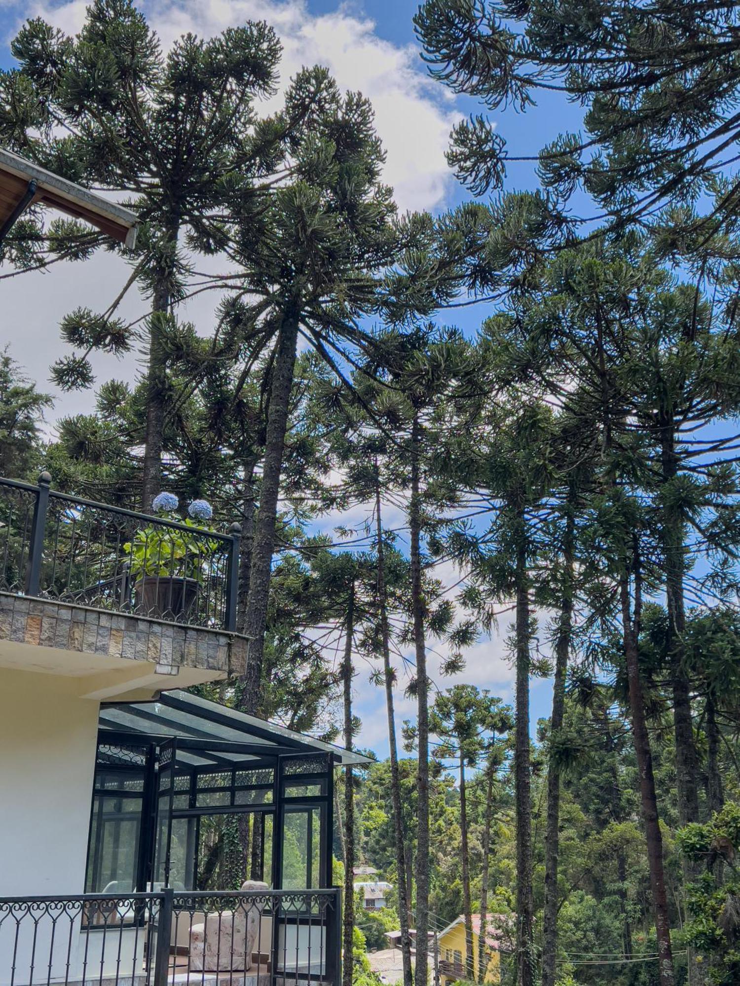 Recanto Do Pepe Hotel Campos do Jordao Luaran gambar
